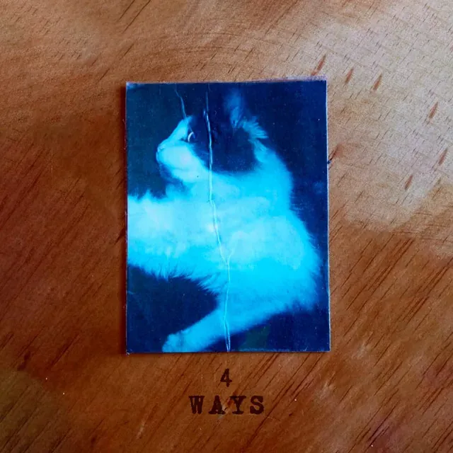 Portada con una foto cian de un gato sobre una mesa de madera.