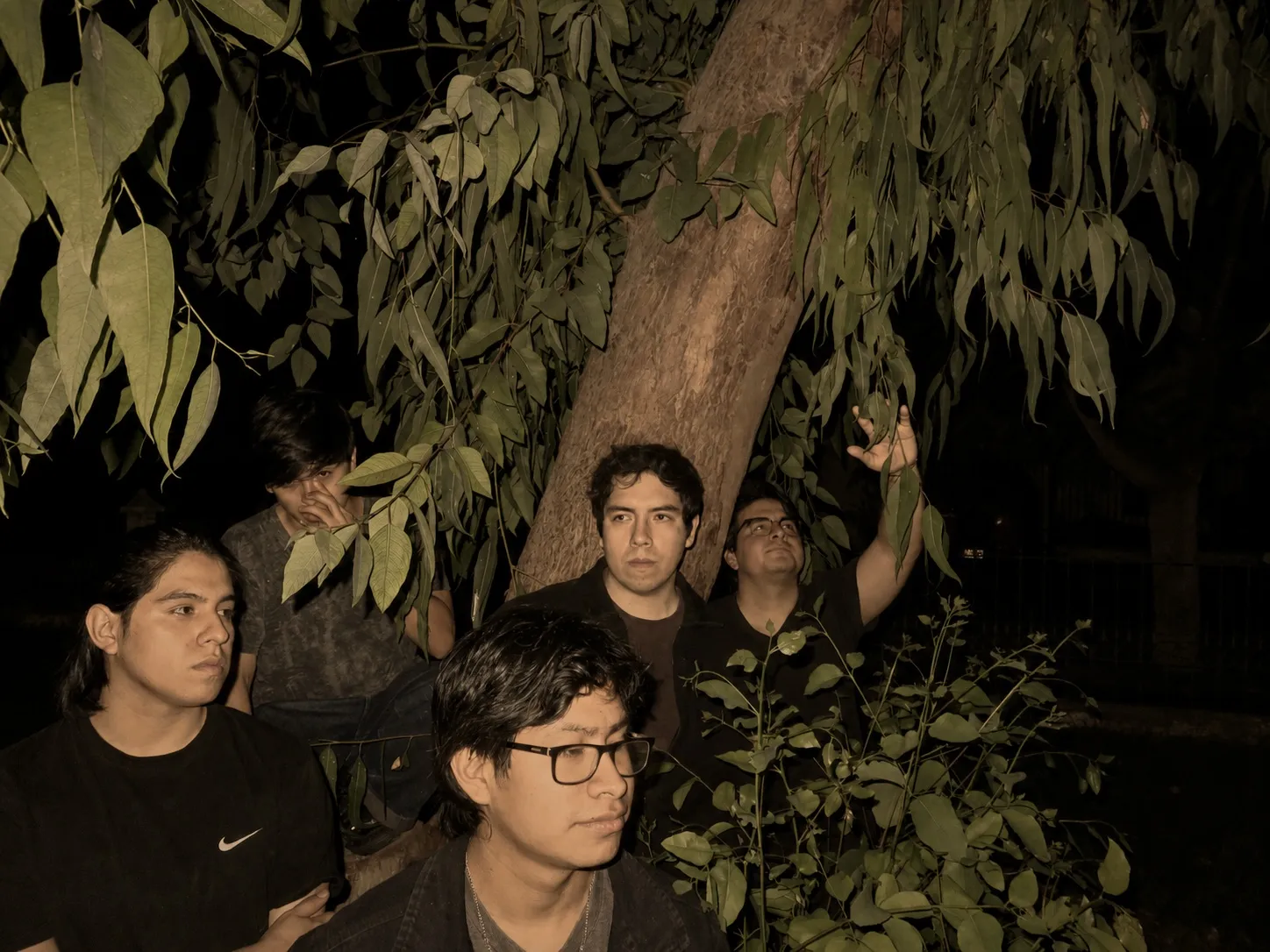 Los cinco integrantes de Ok Boomer de noche, entre las hojas de un árbol iluminadas con flash.